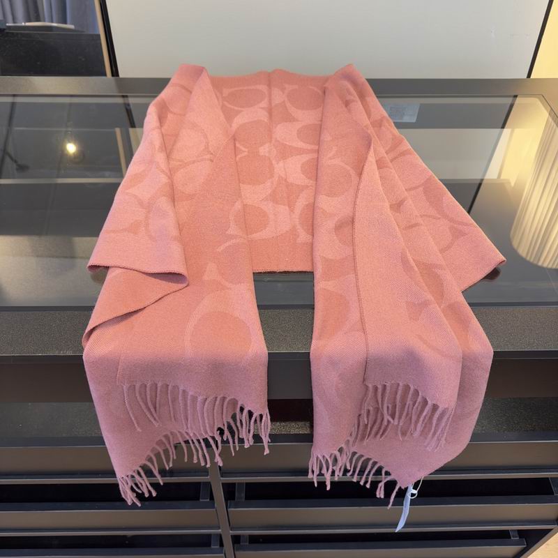Coach Scarf hm (7)
