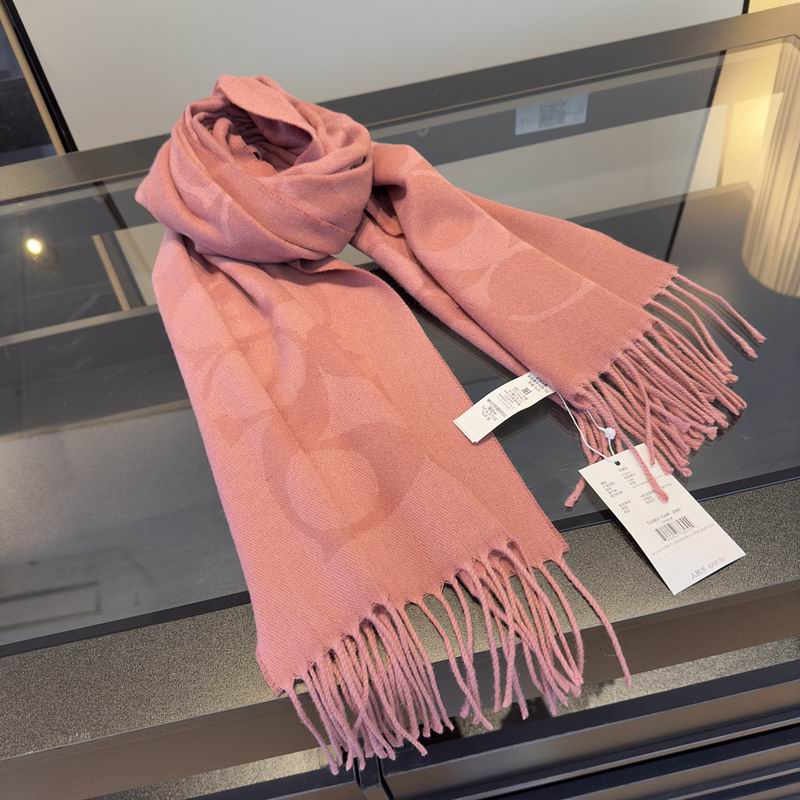 Coach Scarf hm (8)