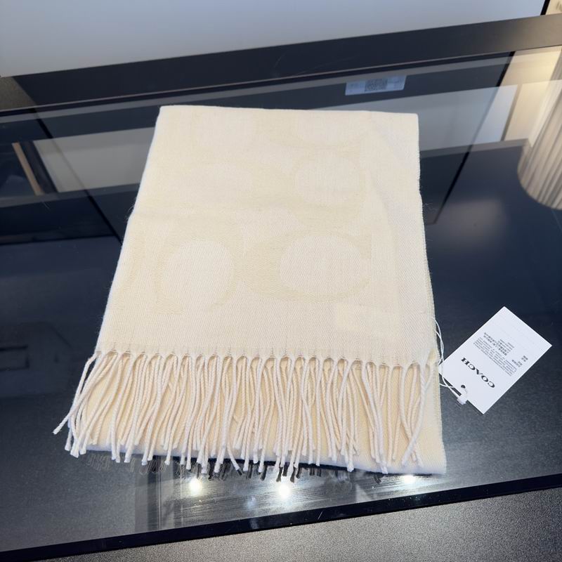 Coach Scarf hm (9)