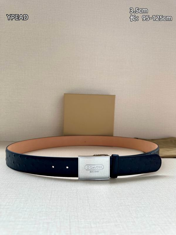 Coach belt 35mmX95-125cm 8L (44)