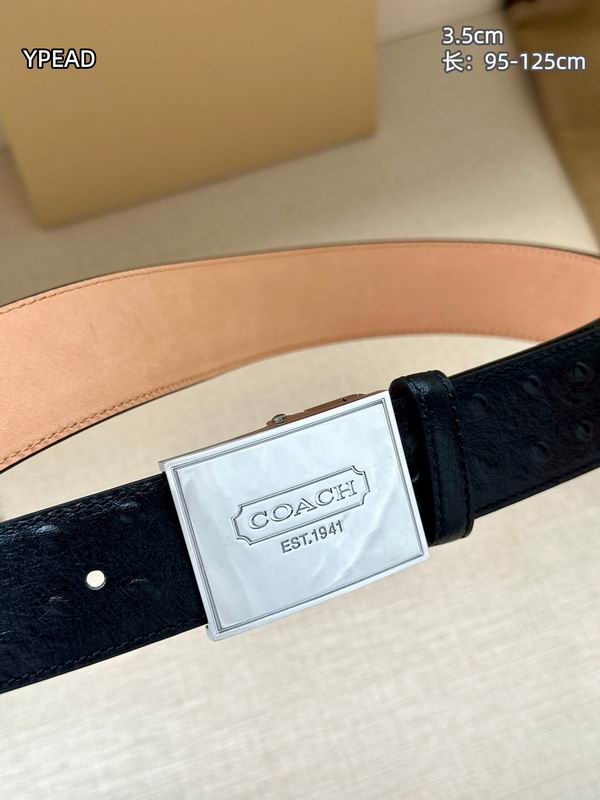 Coach belt 35mmX95-125cm 8L (45)