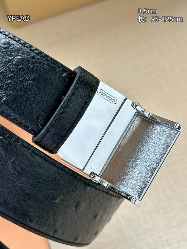 Coach belt 35mmX95-125cm 8L (46)