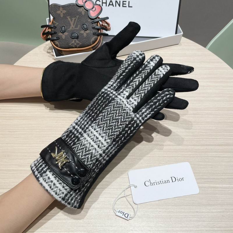 Dior Gloves 07 (1)