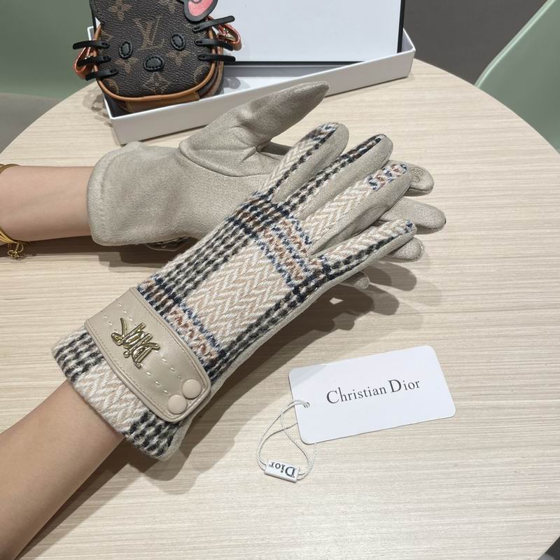 Dior Gloves 07 (11)