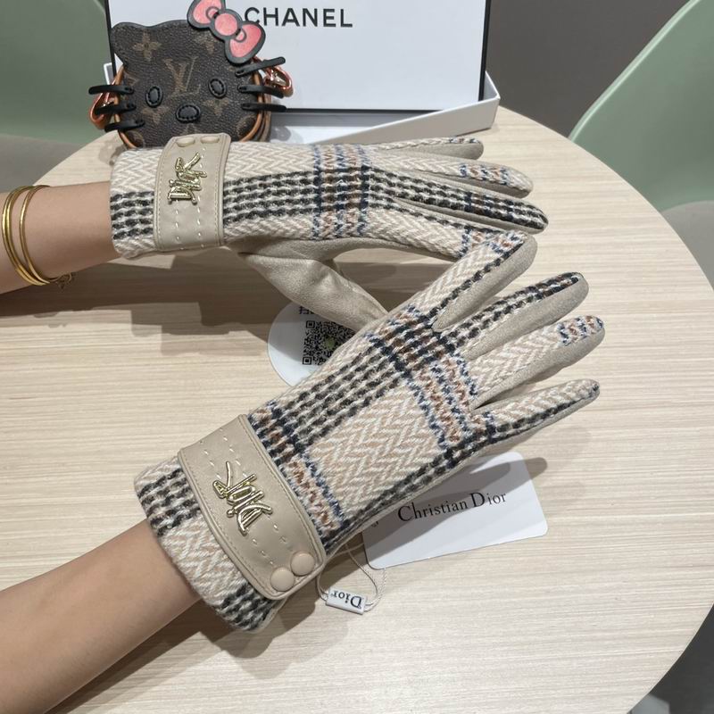 Dior Gloves 07 (12)