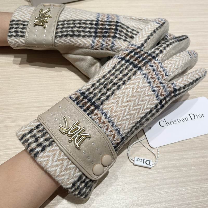 Dior Gloves 07 (13)