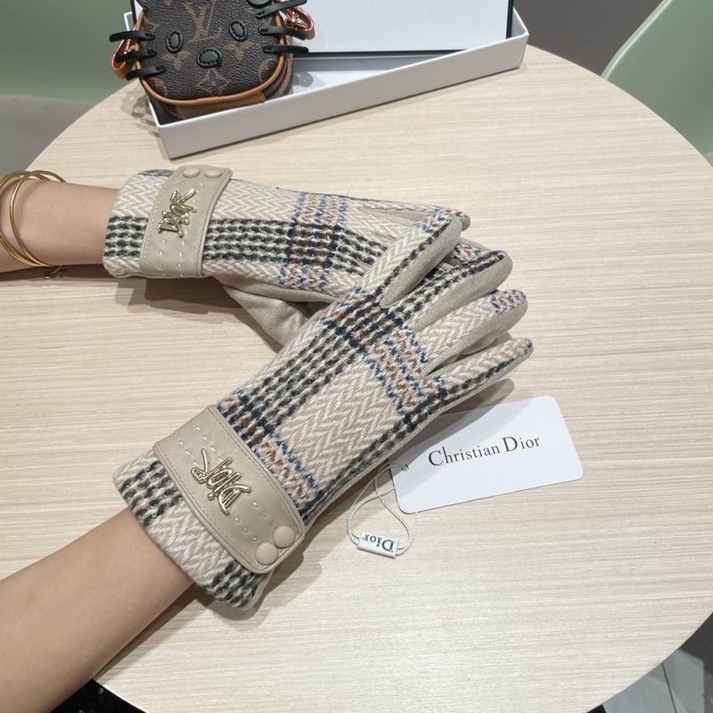 Dior Gloves 07 (14)