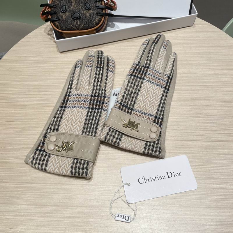 Dior Gloves 07 (15)