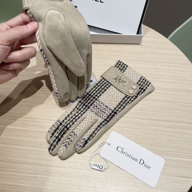 Dior Gloves 07 (17)