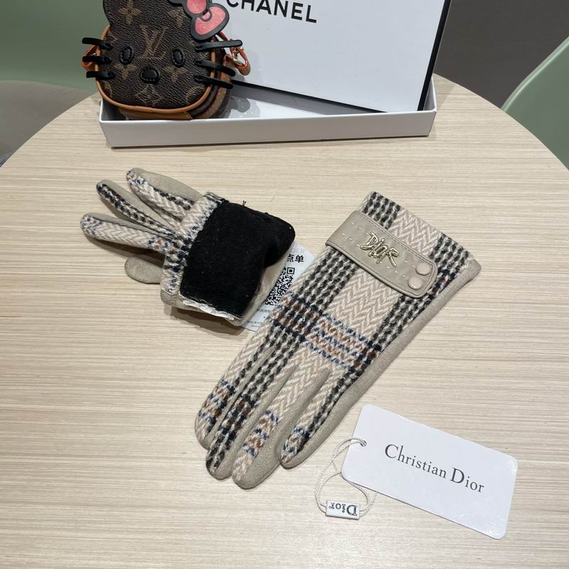 Dior Gloves 07 (18)