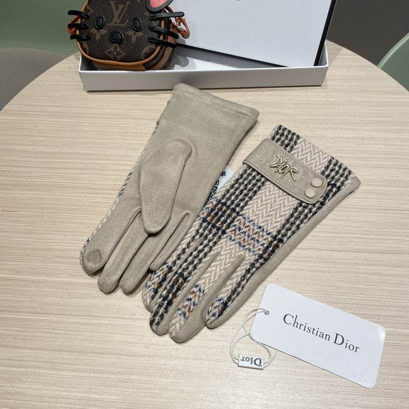 Dior Gloves 07 (19)