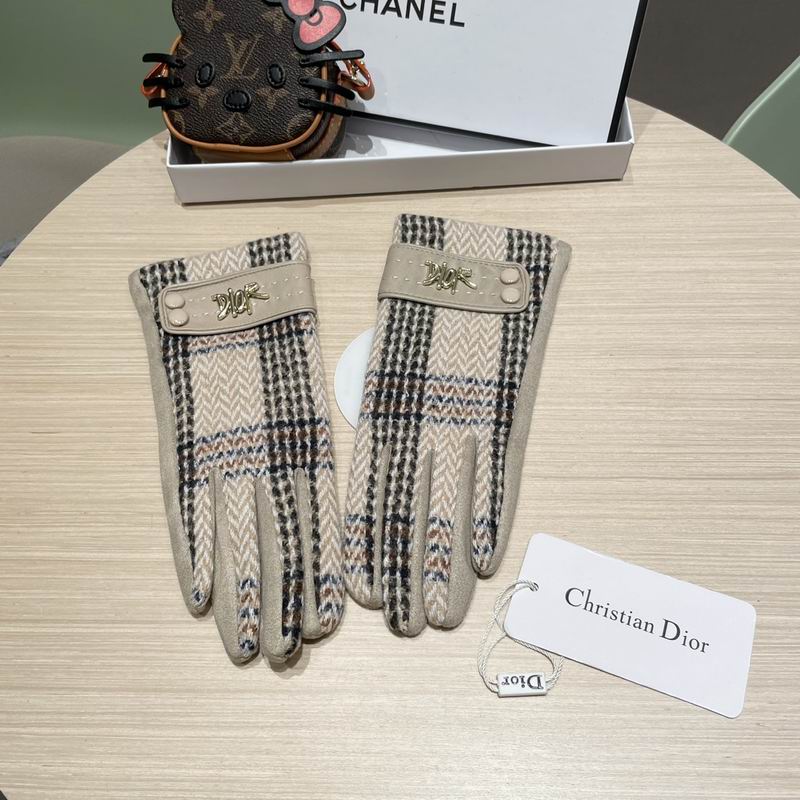 Dior Gloves 07 (20)