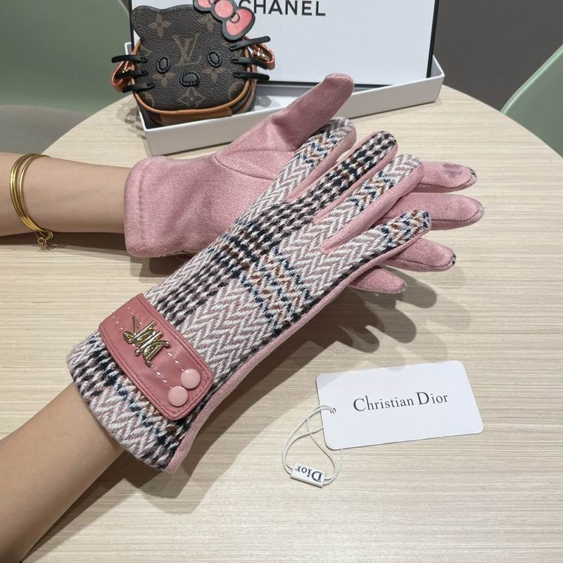Dior Gloves 07 (21)