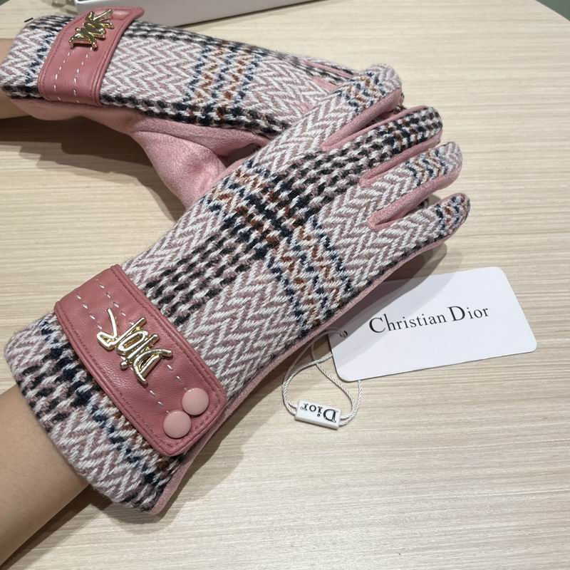Dior Gloves 07 (23)