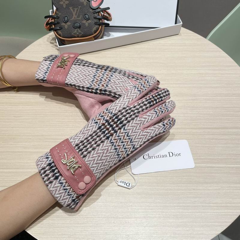 Dior Gloves 07 (24)