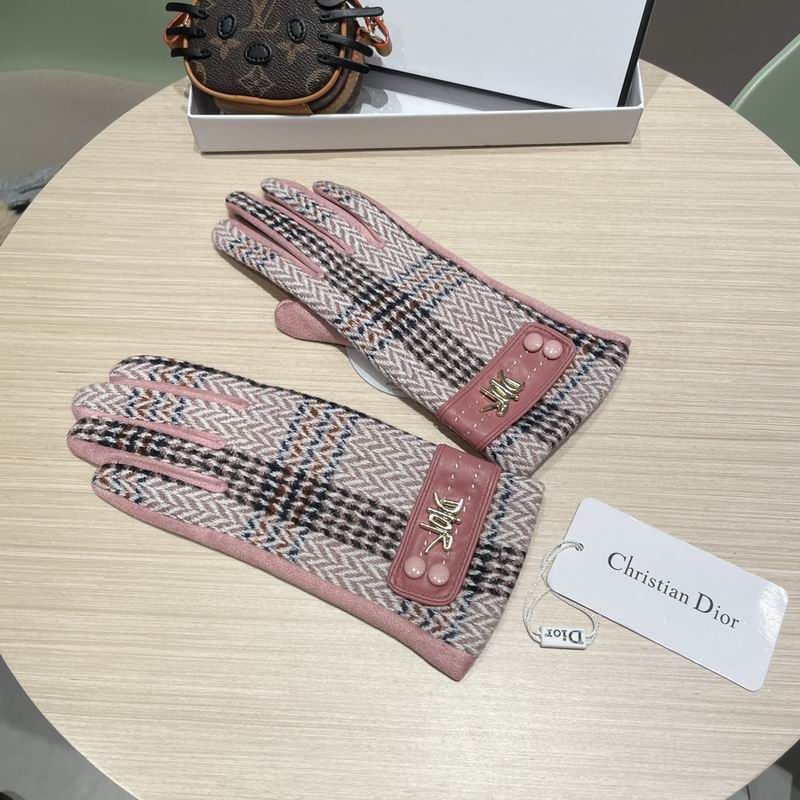 Dior Gloves 07 (25)