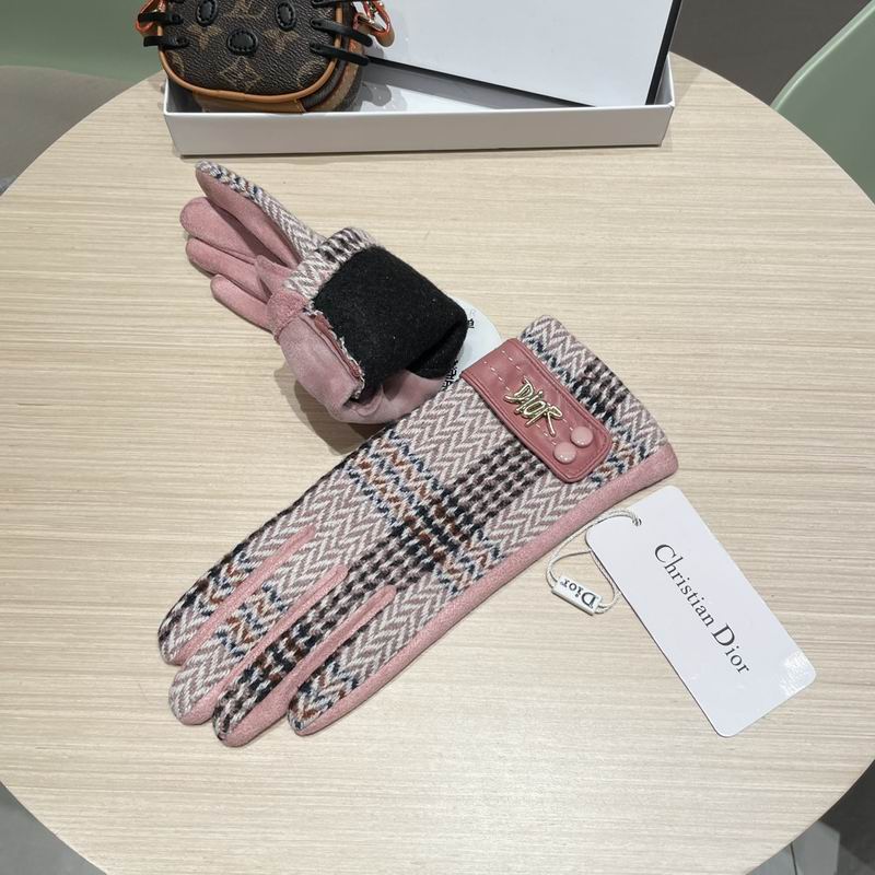 Dior Gloves 07 (28)