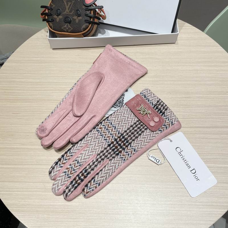 Dior Gloves 07 (29)