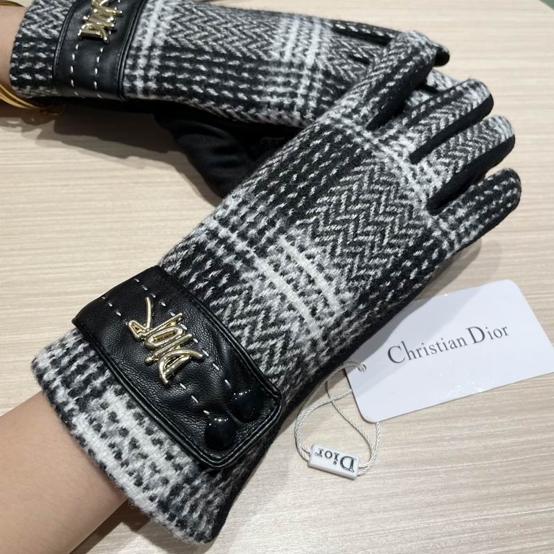 Dior Gloves 07 (3)