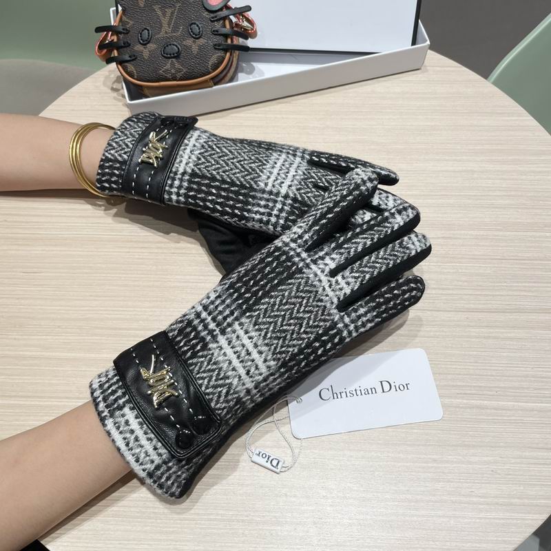 Dior Gloves 07 (4)