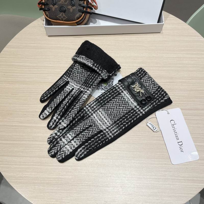 Dior Gloves 07 (5)