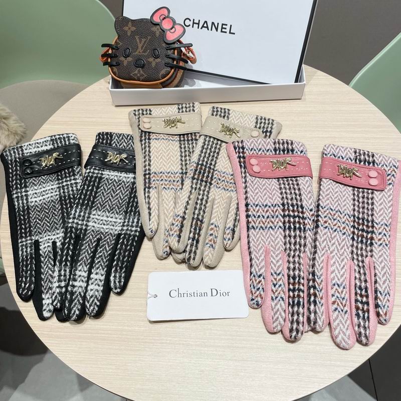 Dior Gloves 07 (6)