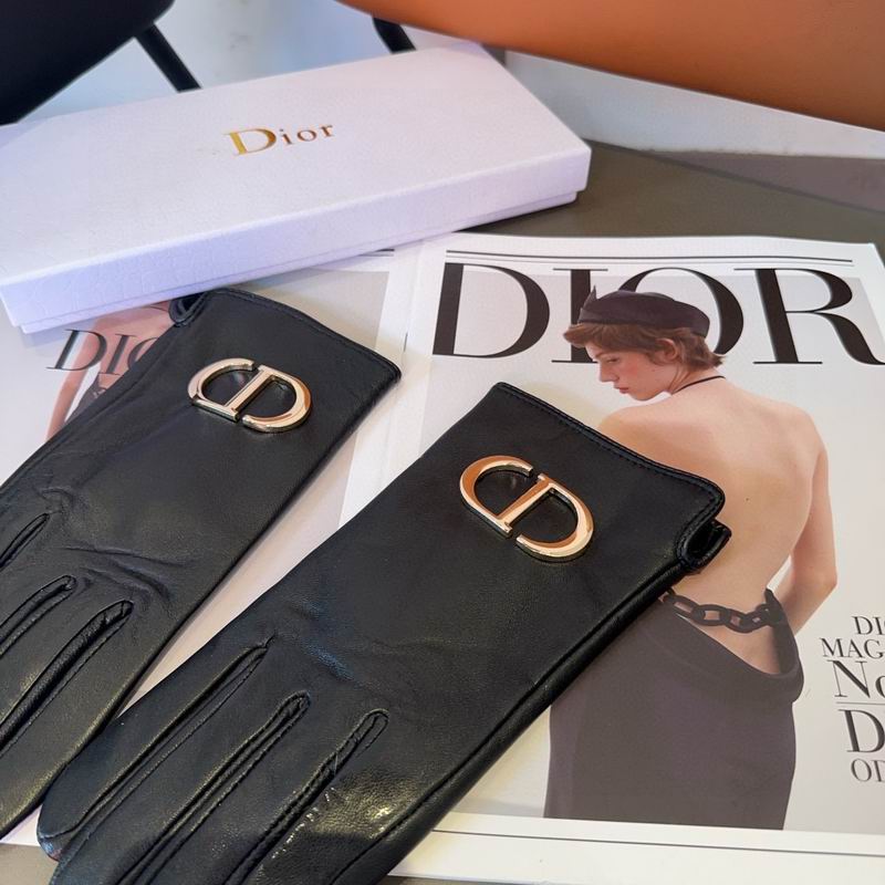 Dior Gloves 22 (2)