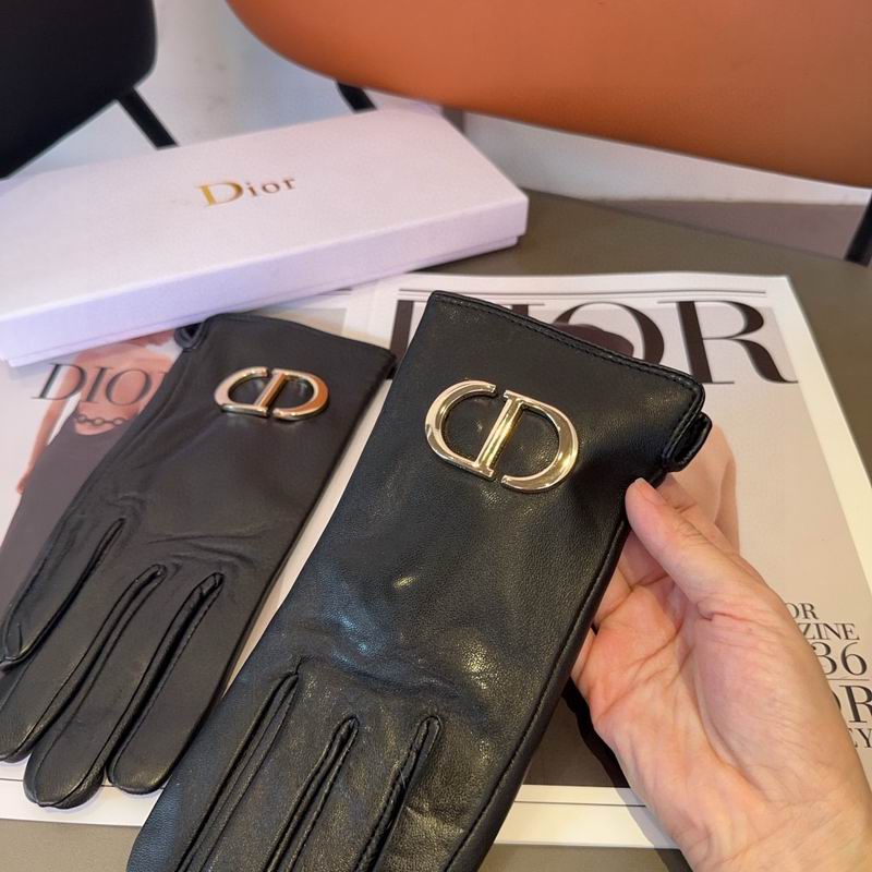 Dior Gloves 22 (4)