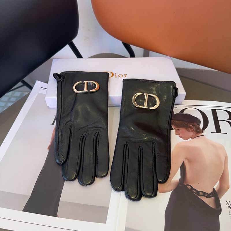 Dior Gloves 22 (6)