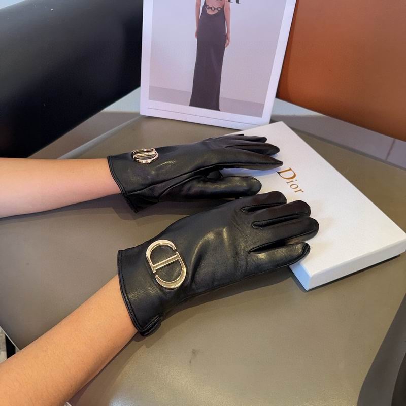 Dior Gloves 22 (8)