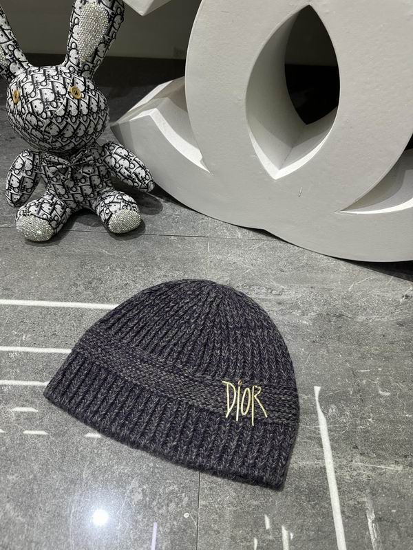 Dior Hat dx (124)