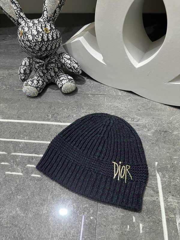 Dior Hat dx (125)