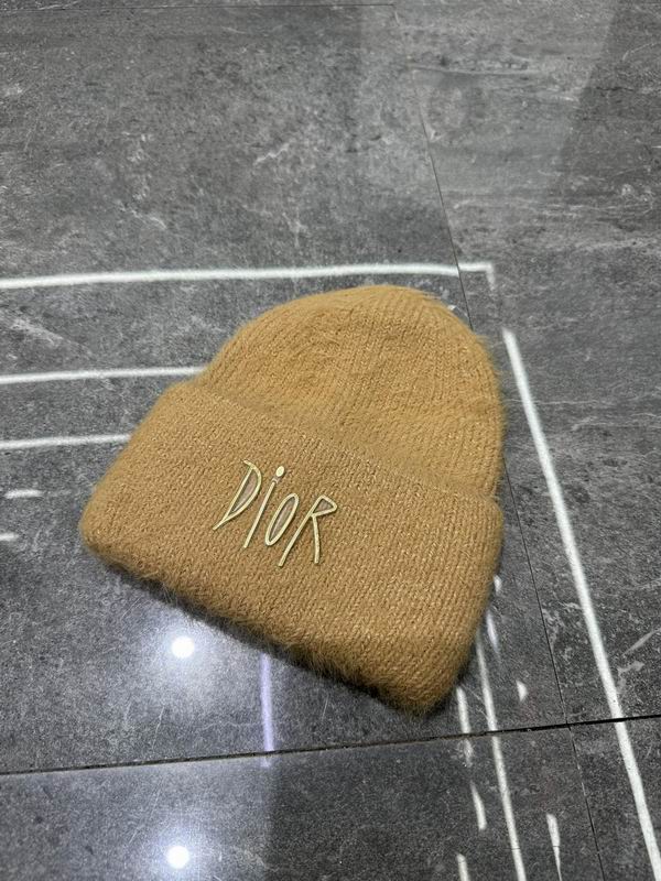 Dior Hat dx (160)