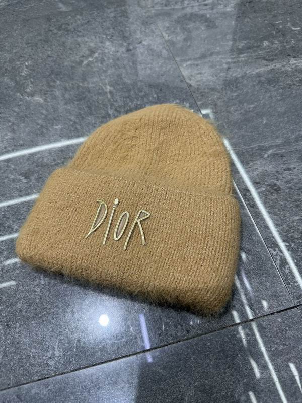 Dior Hat dx (161)