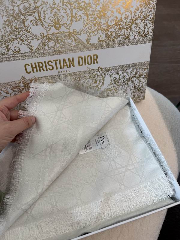Dior Scarf 140X140cm E01 (12)
