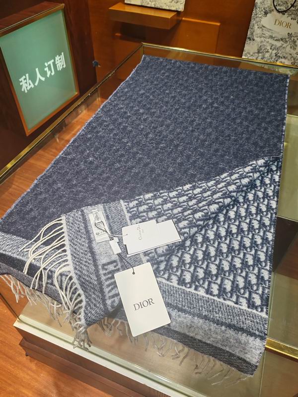Dior Scarf 45X200cm E93 (15)