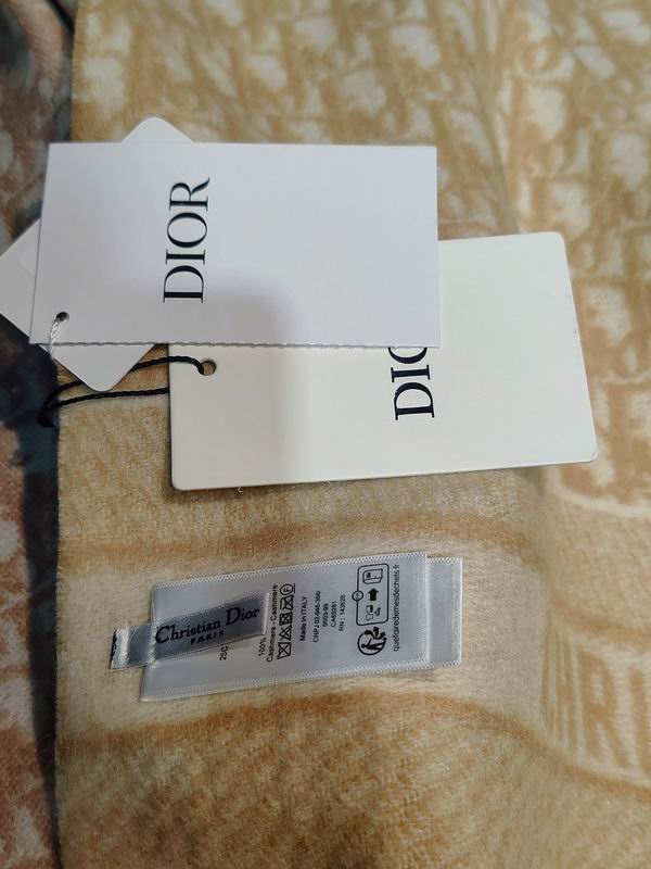 Dior Scarf 45X200cm E93 (5)