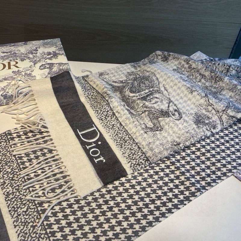 Dior Scarf hm (20)