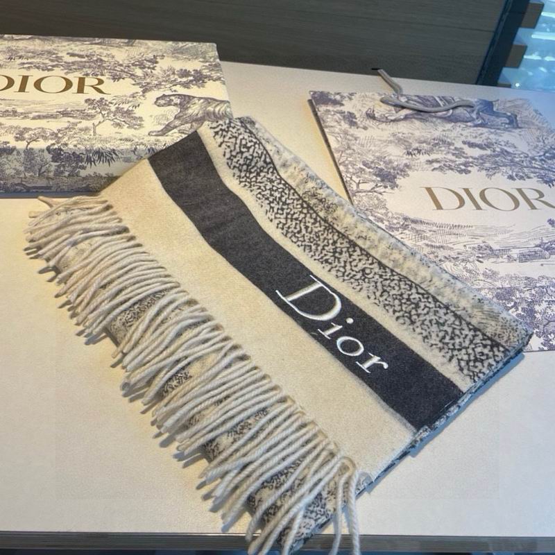 Dior Scarf hm (21)