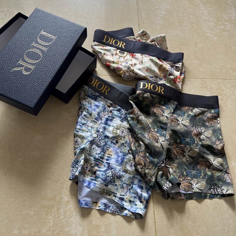 Dior boxer L-4XL 15 (4)