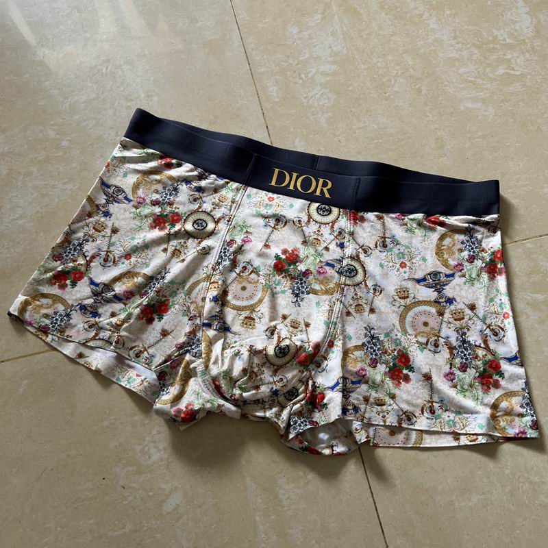 Dior boxer L-4XL 15 (7)