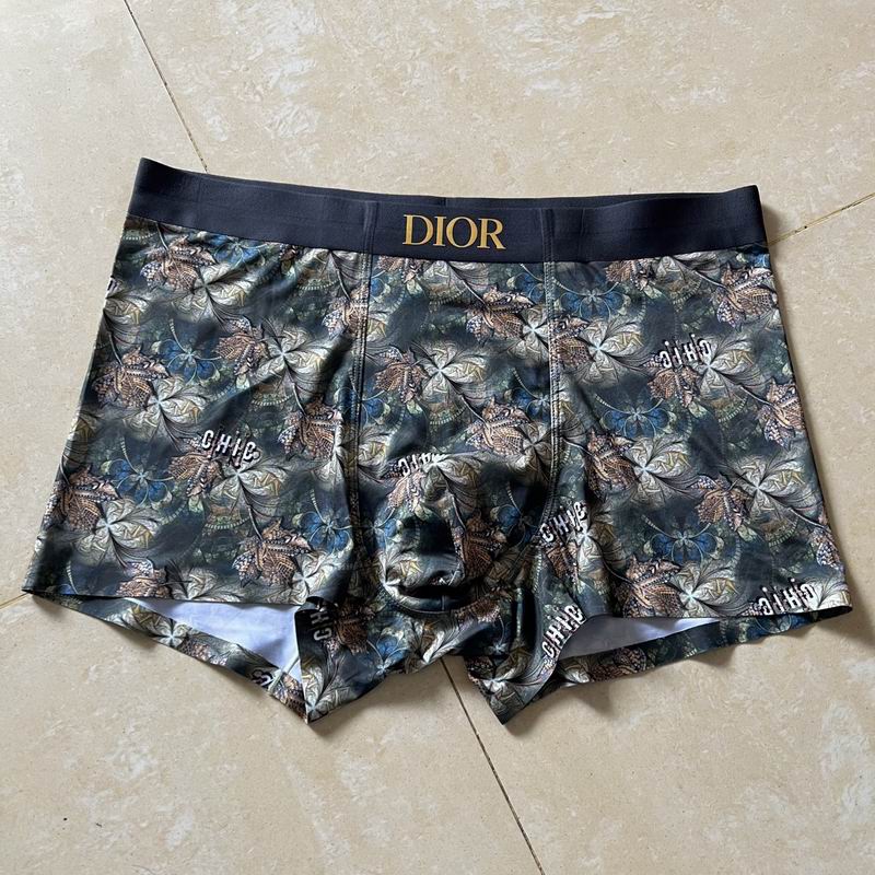 Dior boxer L-4XL 15 (9)