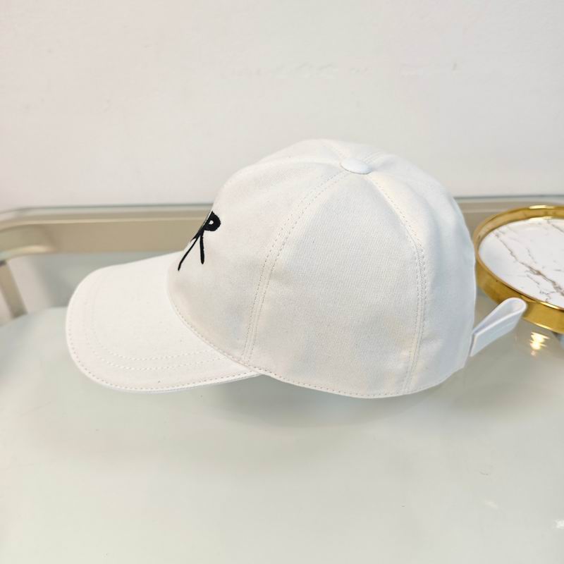 Dior cap (高版本）dx (299)