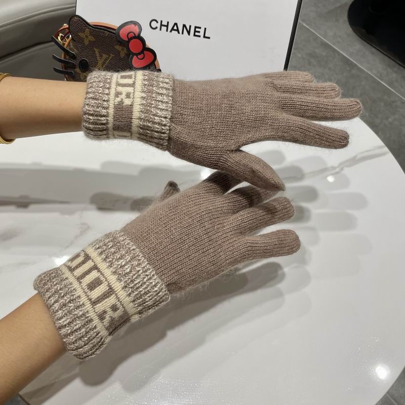 Dior gloves 77 (10)