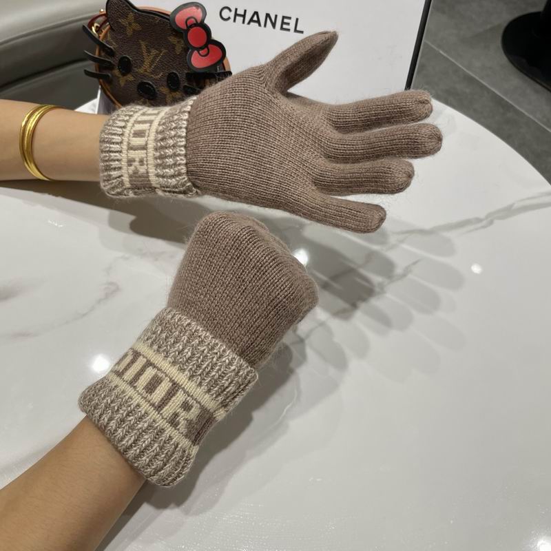 Dior gloves 77 (11)