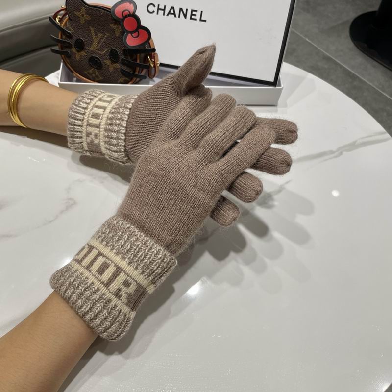 Dior gloves 77 (12)