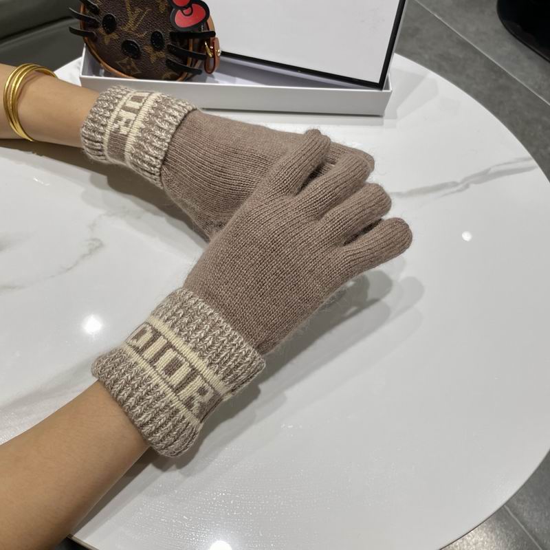 Dior gloves 77 (13)