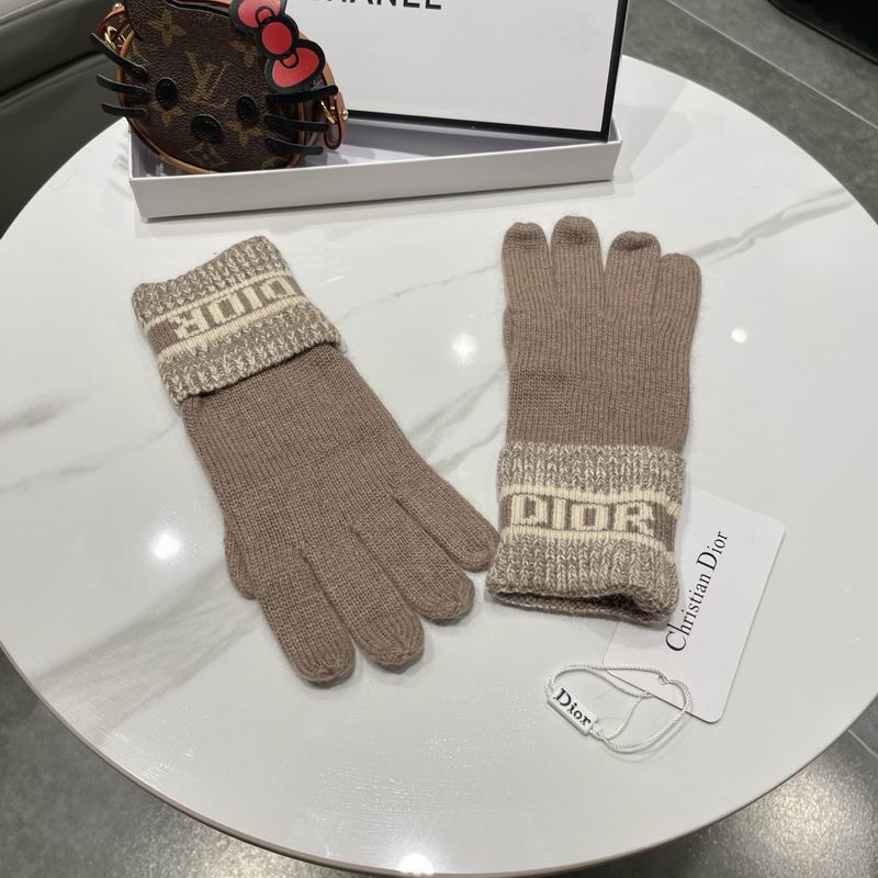 Dior gloves 77 (15)