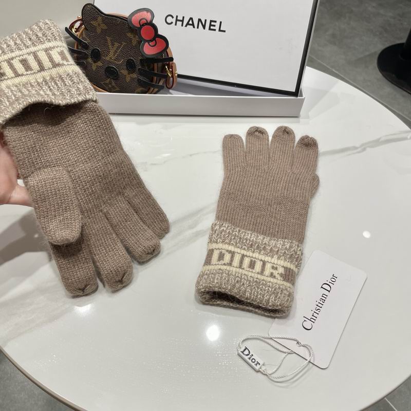 Dior gloves 77 (16)