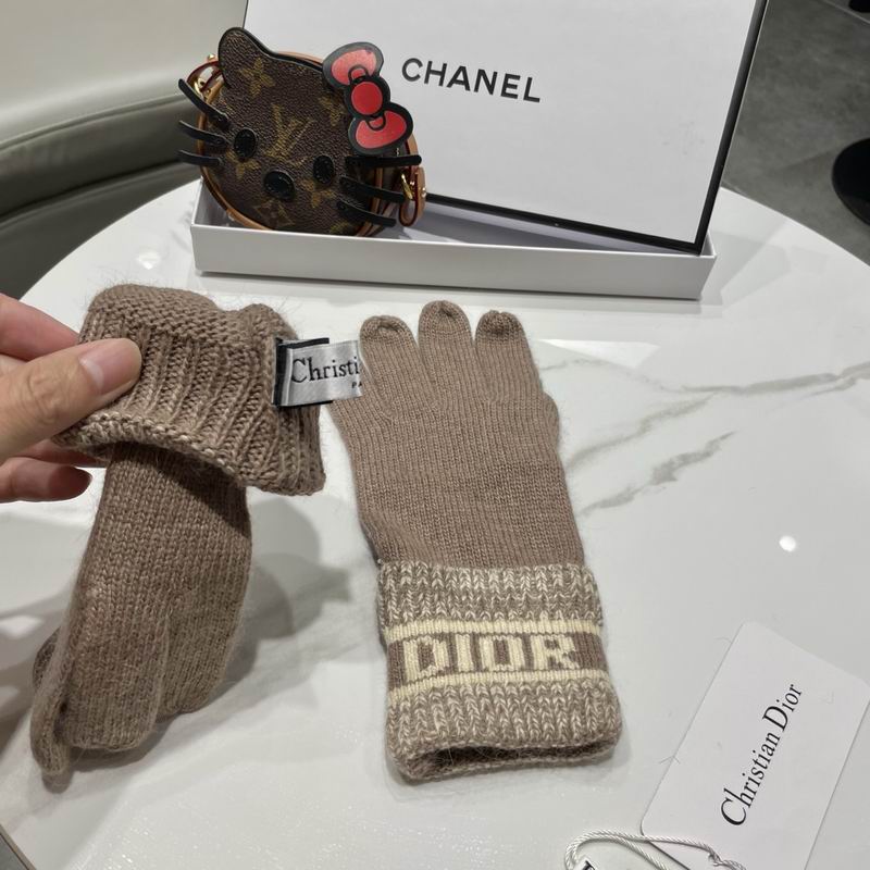 Dior gloves 77 (17)